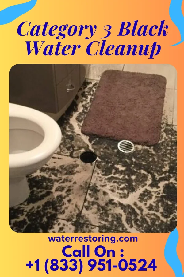 Category 3 Black Water Cleanup in Valliant, OK